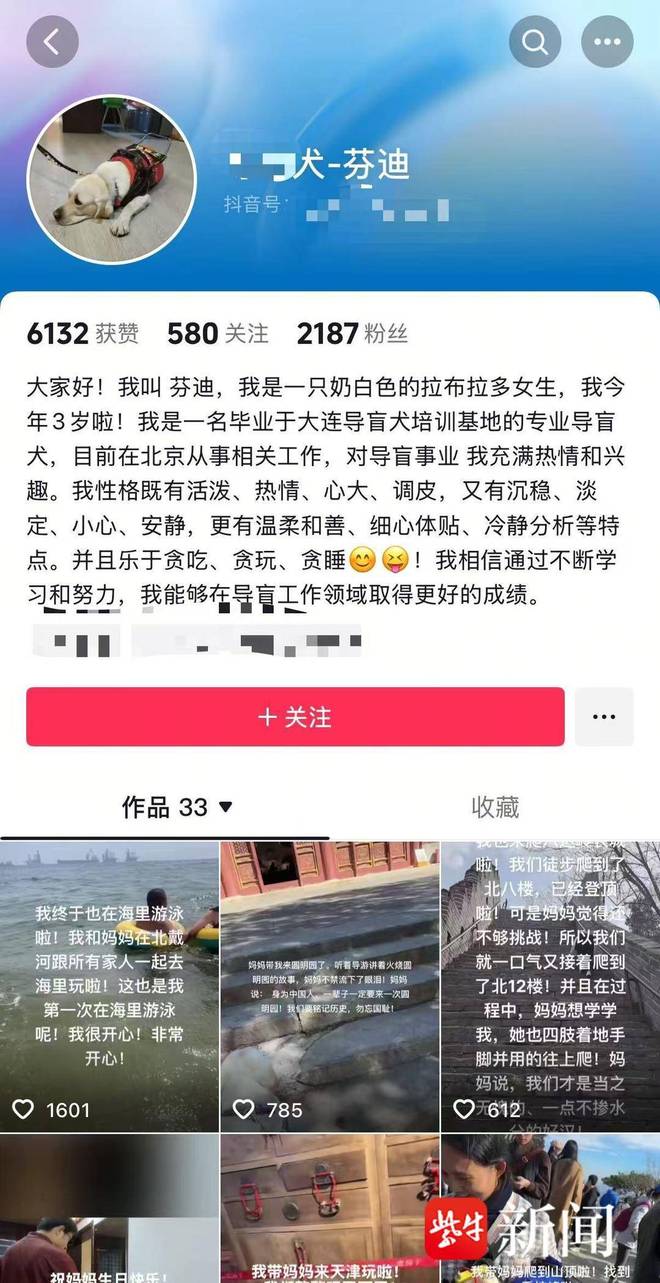 引争议业内人士：导盲犬能否登山需经专业综合评估pg电子免费模拟器视障人士携导盲犬雨夜爬泰山(图2)