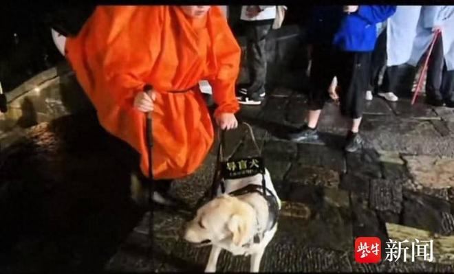 引争议业内人士：导盲犬能否登山需经专业综合评估pg电子免费模拟器视障人士携导盲犬雨夜爬泰山(图3)