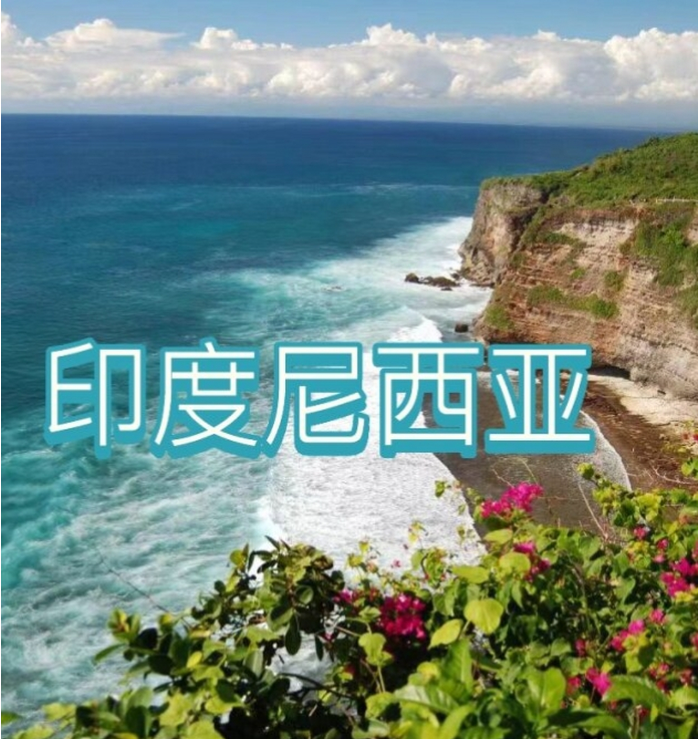 际电商(印尼)产业博览会pg电子2025中国国(图2)