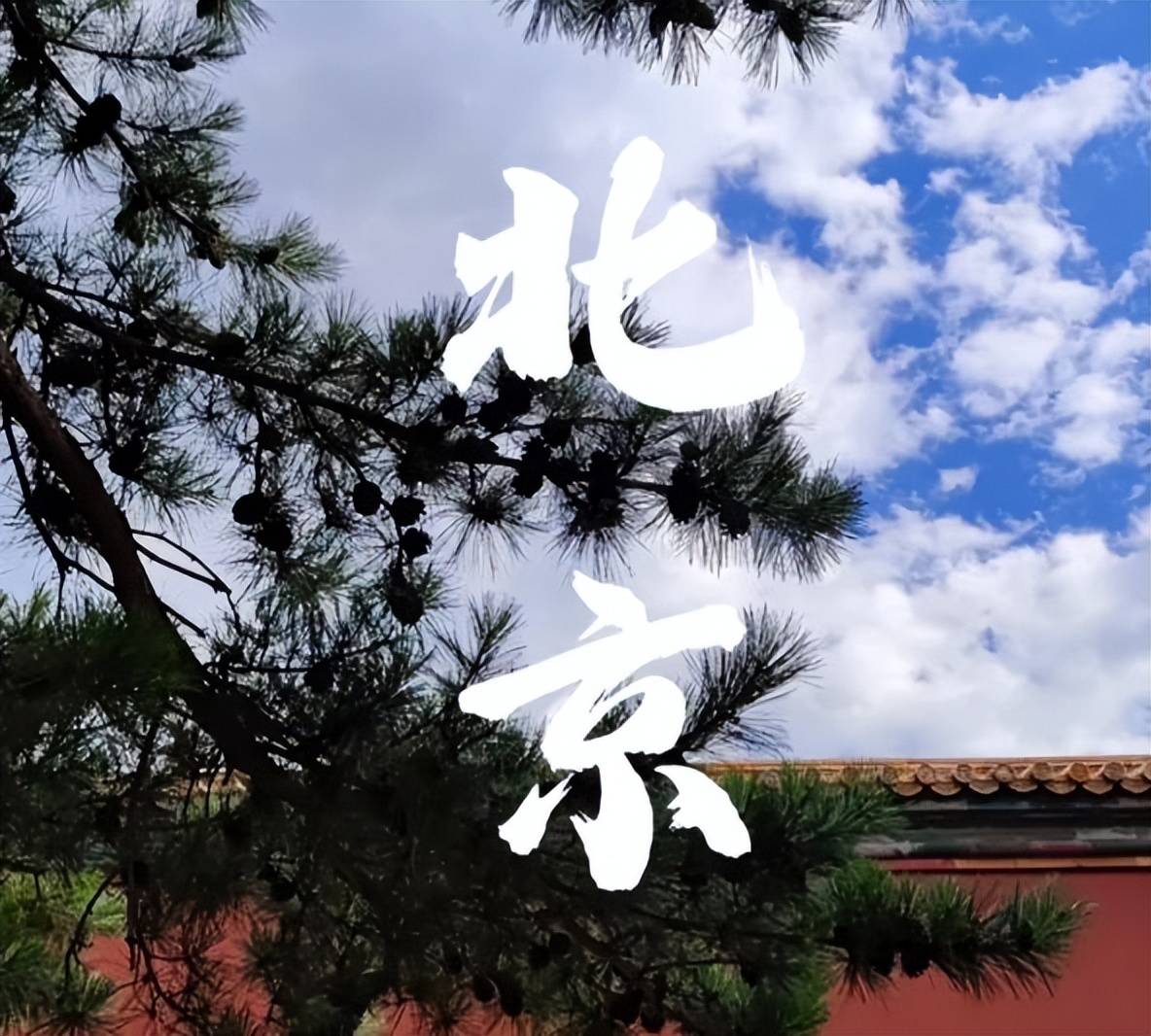 OP10权威榜单真靠谱零差评零投诉（文旅局认证）pg电子模拟器试玩2026年度北京靠谱旅行社T(图2)